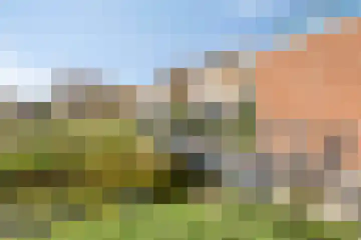 Oostendeelplein 39 Zuidland thumbnail 34
