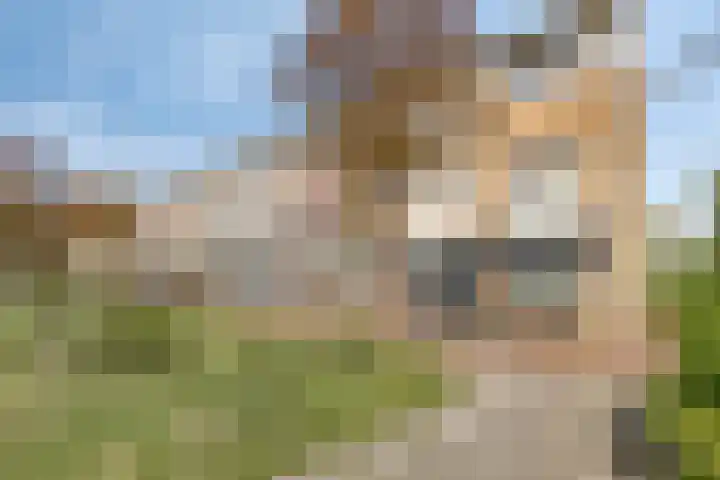 Oostendeelplein 39 Zuidland thumbnail 35