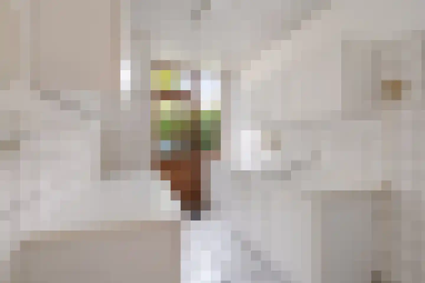 Oostendestraat 1 Breda thumbnail 13