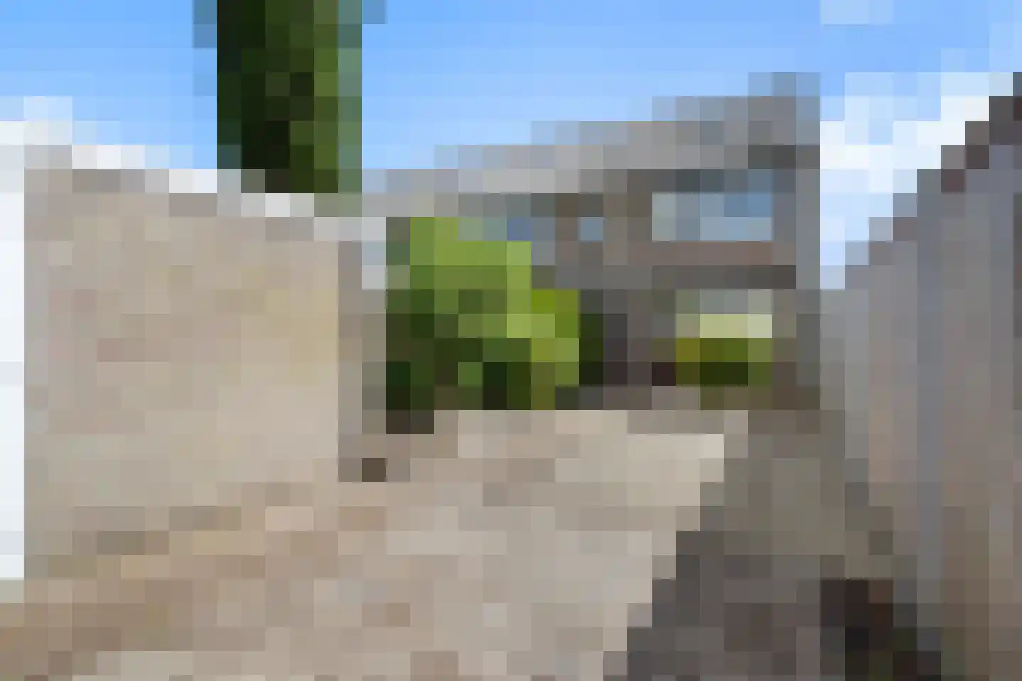 Oostendestraat 1 Breda thumbnail 32