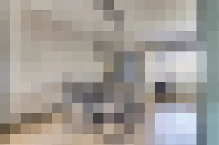 Oostendestraat 25 Hoedekenskerke thumbnail 10