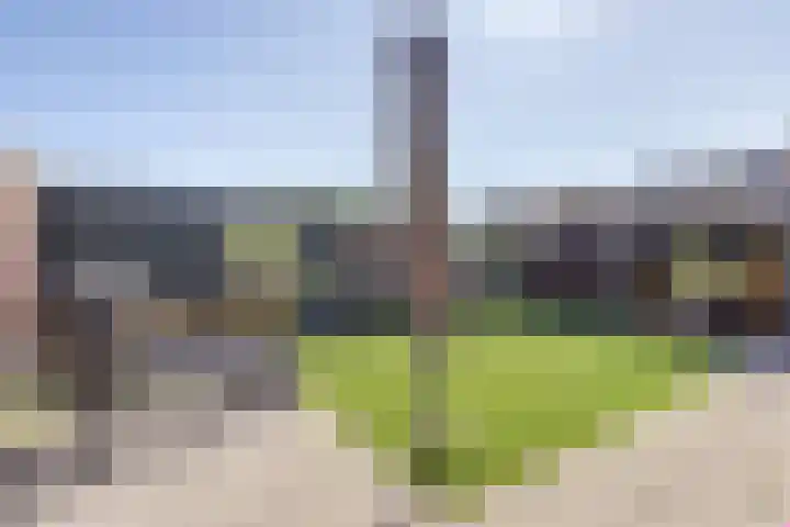 Oostendestraat 25 Hoedekenskerke thumbnail 25
