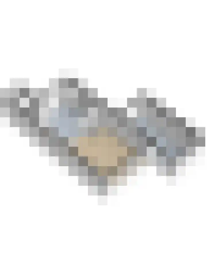 Oostendestraat 25 Hoedekenskerke thumbnail 38