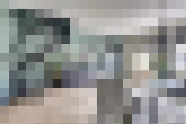 Oostendestraat 25 Hoedekenskerke thumbnail 6