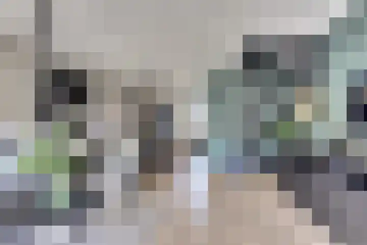 Oostendestraat 25 Hoedekenskerke thumbnail 7