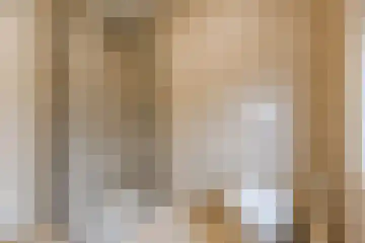 Oostendestraat 37 Breda thumbnail 19