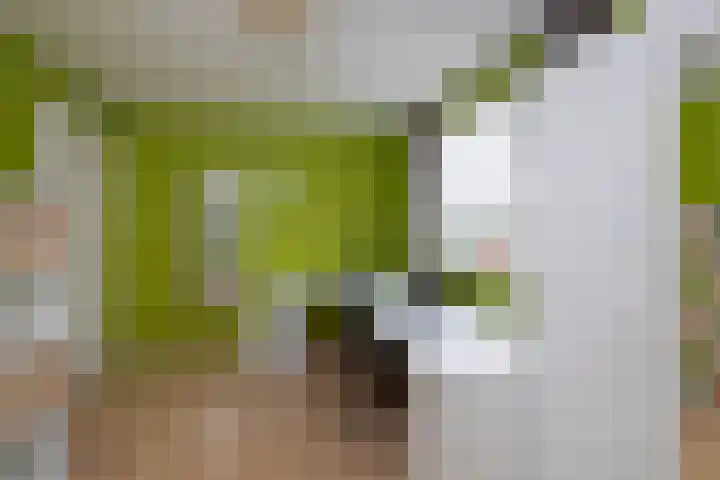Oostendestraat 6 Hengelo thumbnail 25