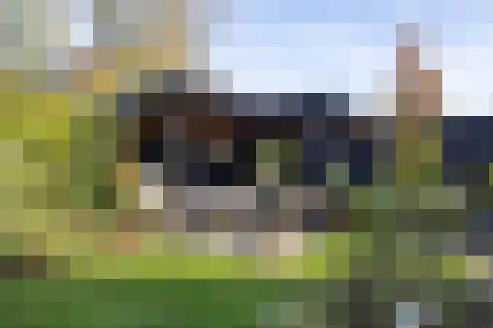 Oostendestraat 6 Hengelo thumbnail 36