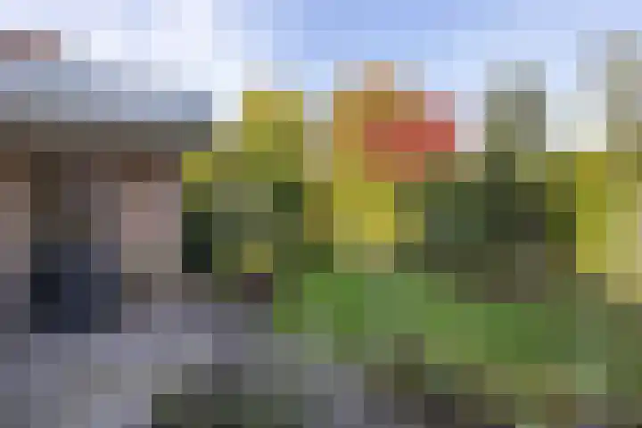 Oostendestraat 6 Hengelo thumbnail 38