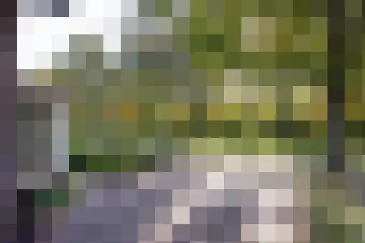 Oostendestraat 6 Hengelo thumbnail 39