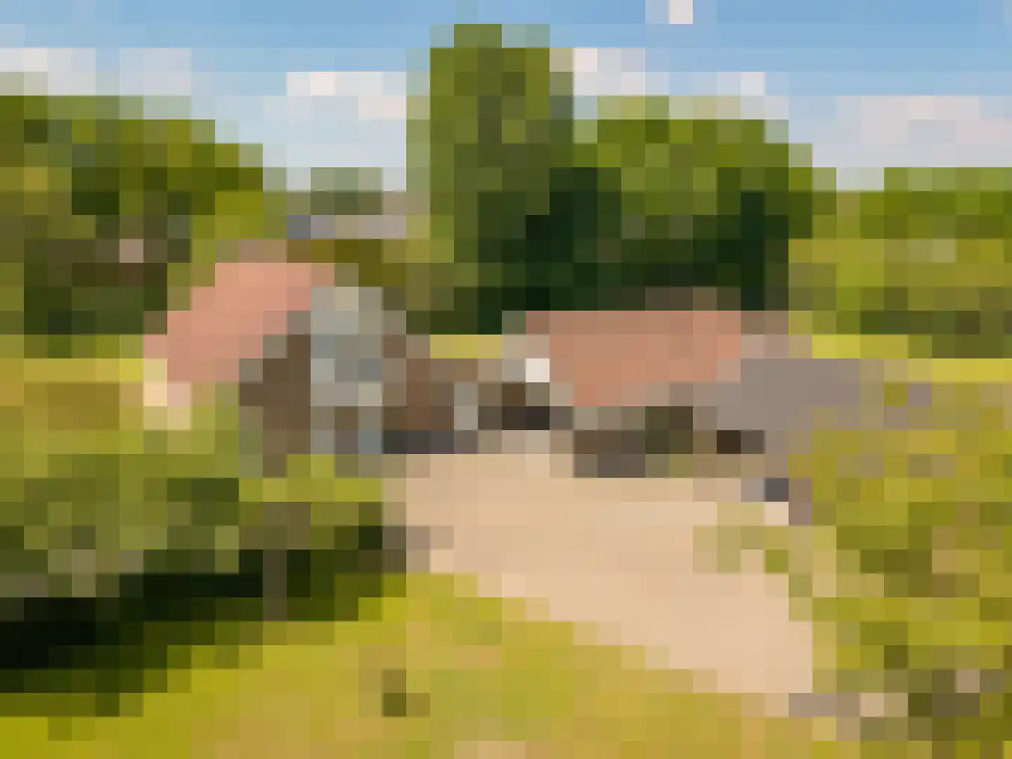 Oostendorperstraatweg 33 C Elburg thumbnail 71
