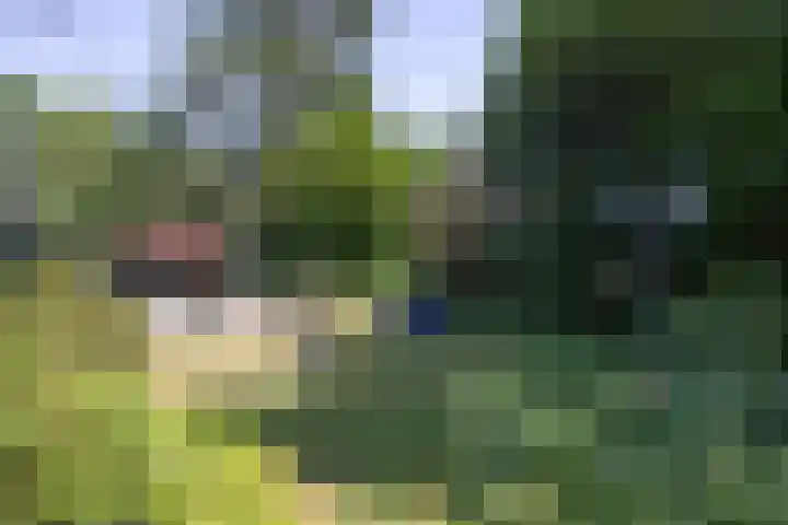Oostendorperweg 27 Z Haaksbergen thumbnail 17