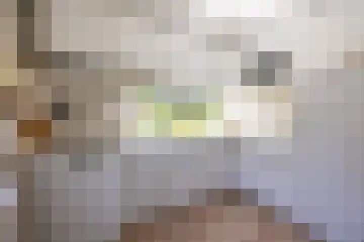 Oostendorperweg 27 Z Haaksbergen thumbnail 7