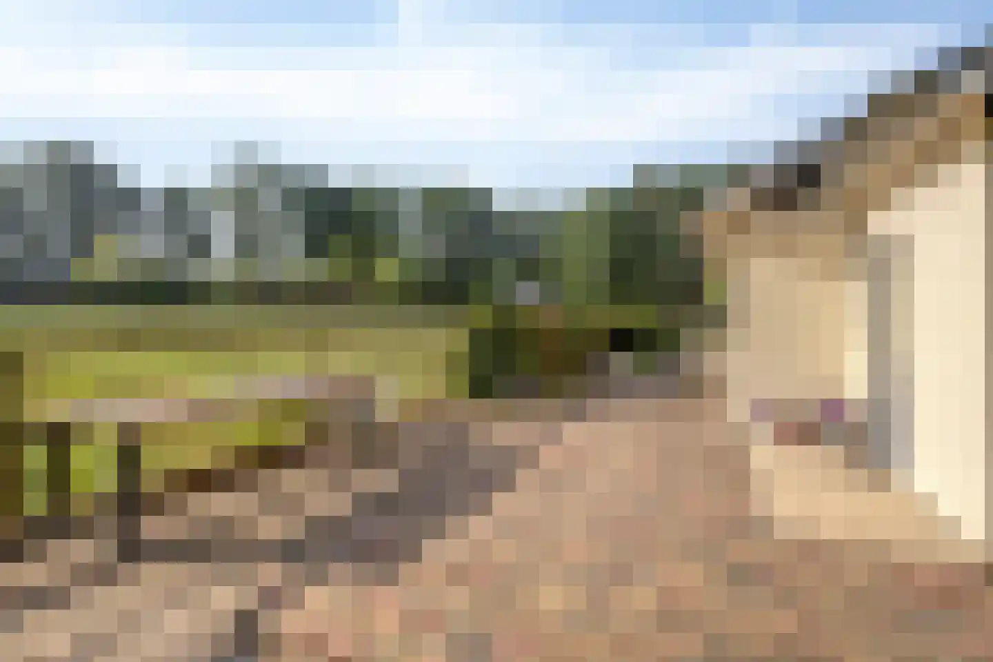 Oostendorperweg 31 Z Haaksbergen thumbnail 30