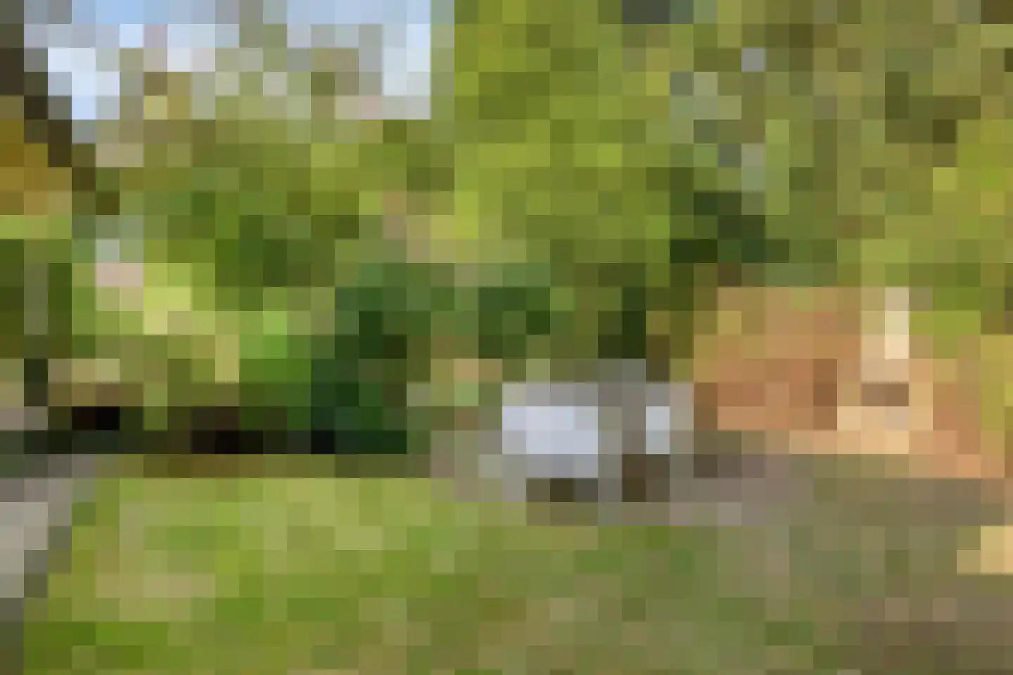 Oostendorperweg 31 Z Haaksbergen thumbnail 33