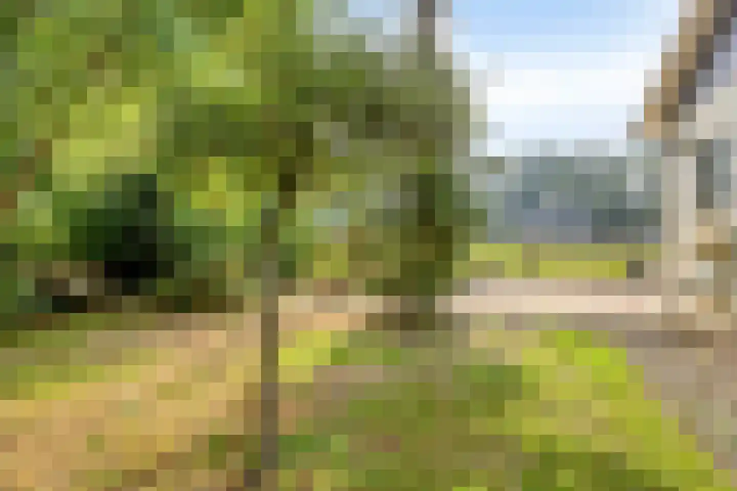 Oostendorperweg 31 Z Haaksbergen thumbnail 36