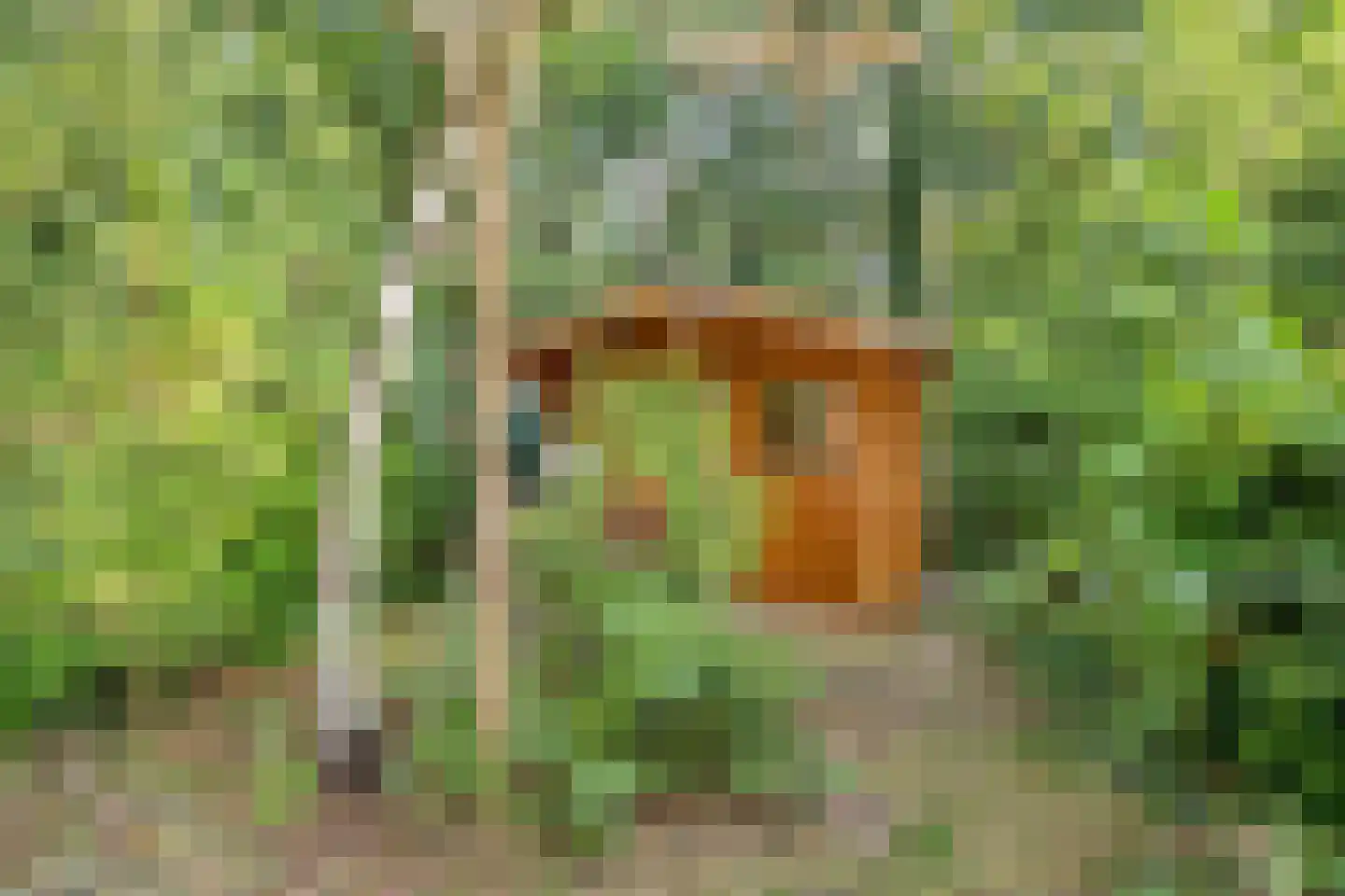 Oostendorperweg 31 Z Haaksbergen thumbnail 37