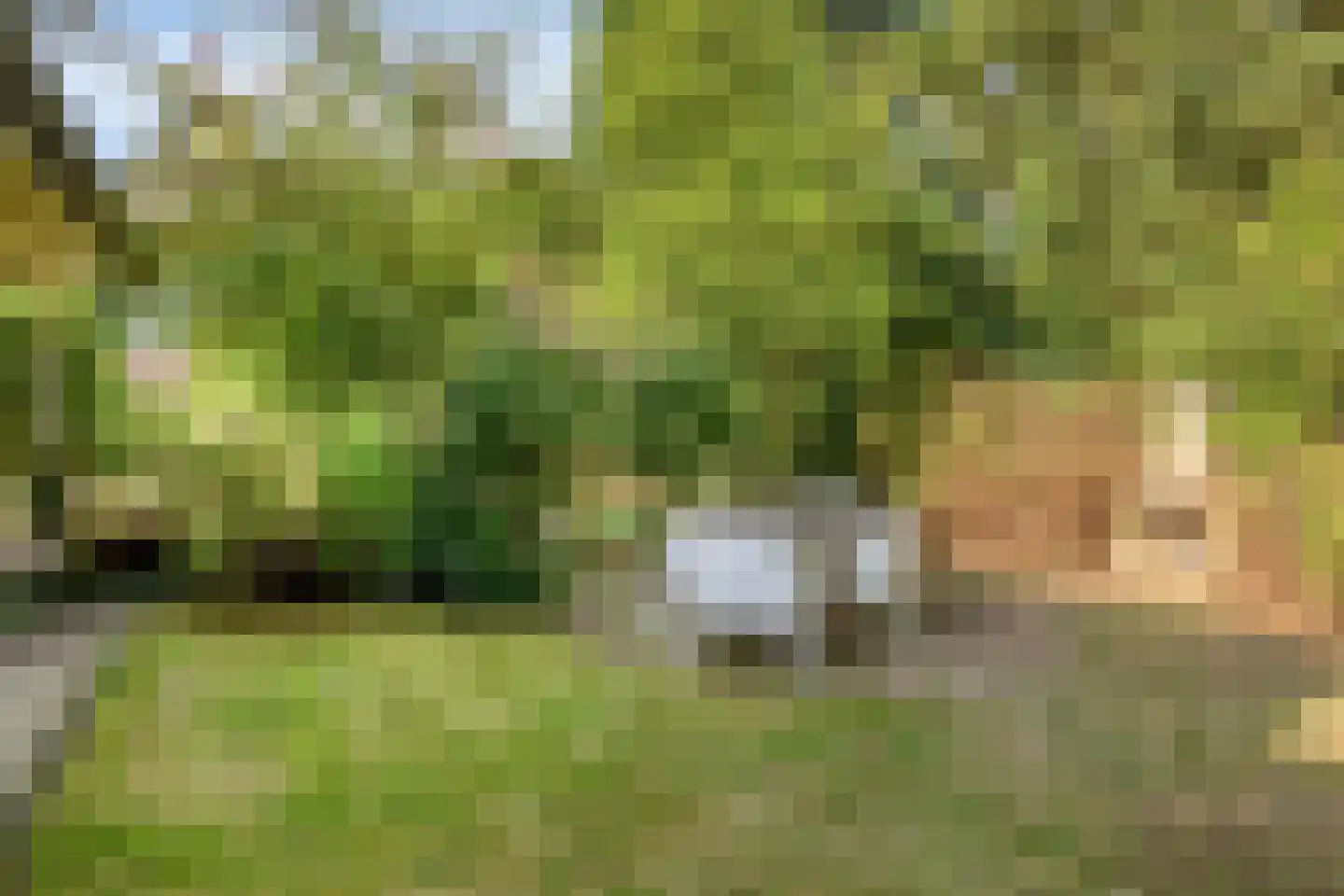 Oostendorperweg 31 Z Haaksbergen thumbnail 4