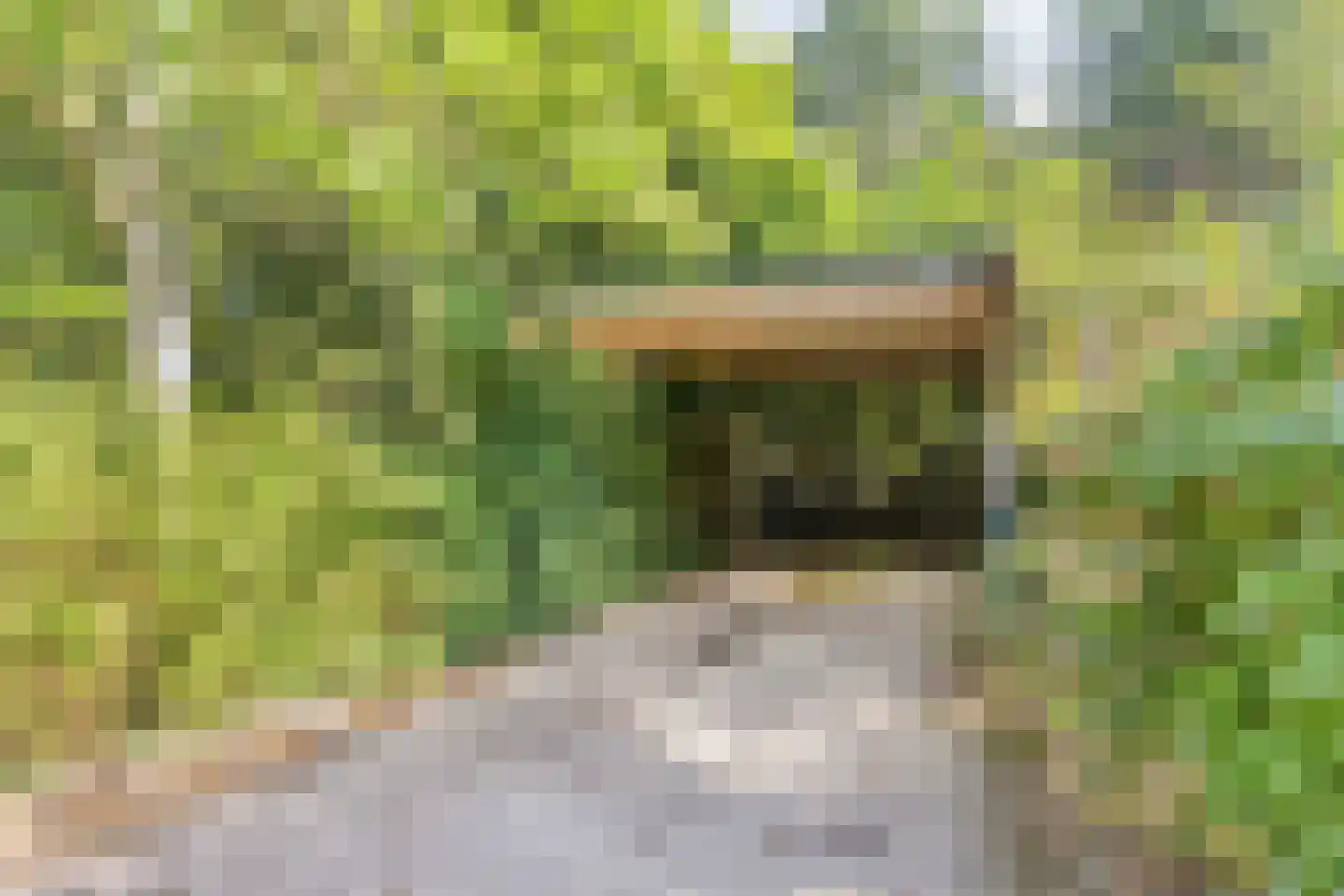 Oostendorperweg 31 Z Haaksbergen thumbnail 40