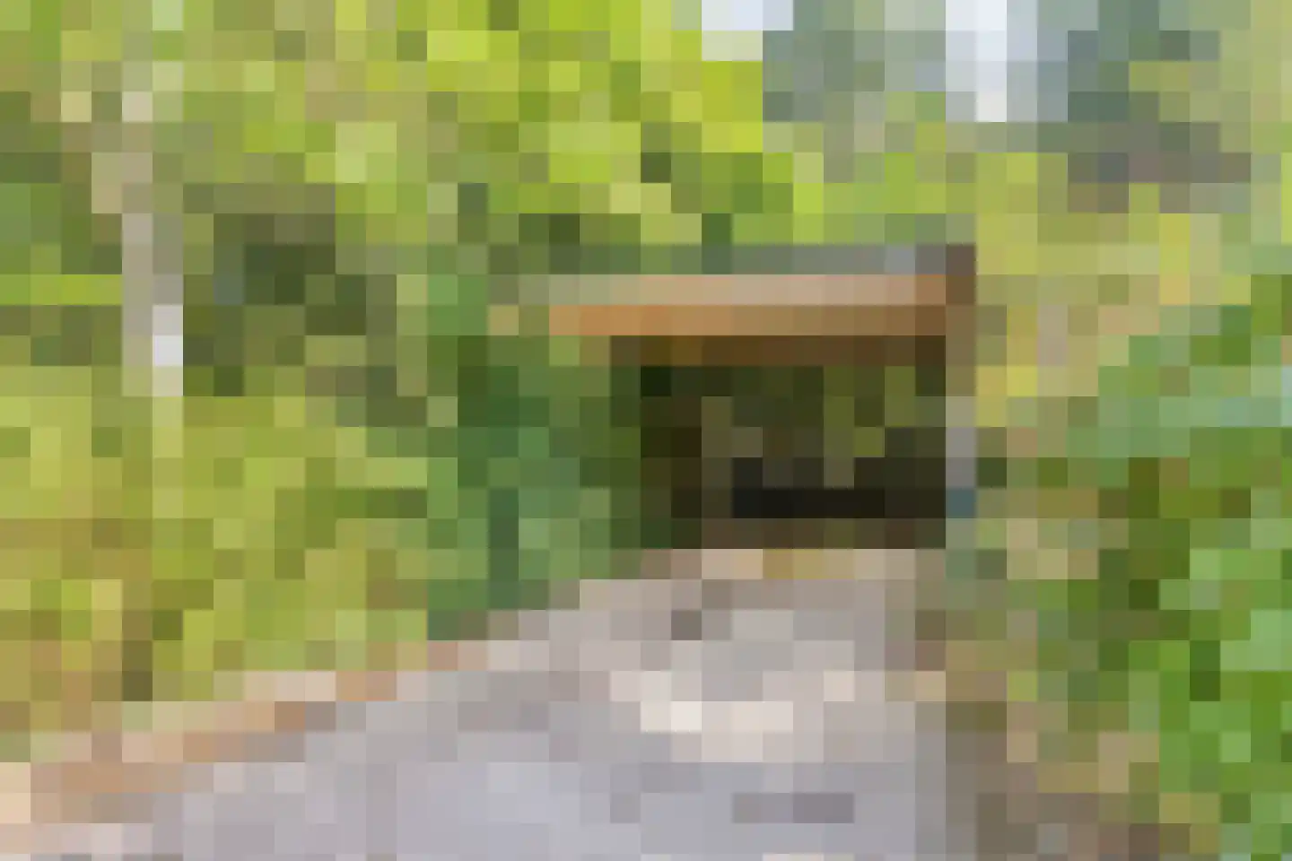 Oostendorperweg 31 Z Haaksbergen thumbnail 44