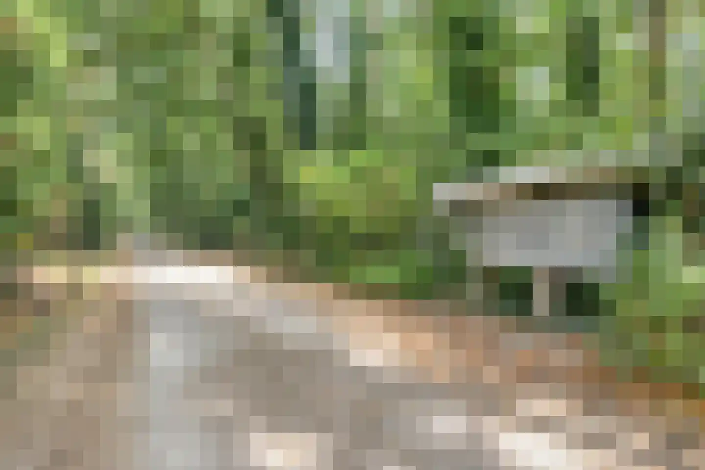 Oostendorperweg 31 Z Haaksbergen thumbnail 44