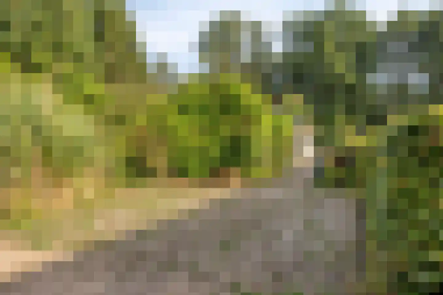 Oostendorperweg 31 Z Haaksbergen thumbnail 8