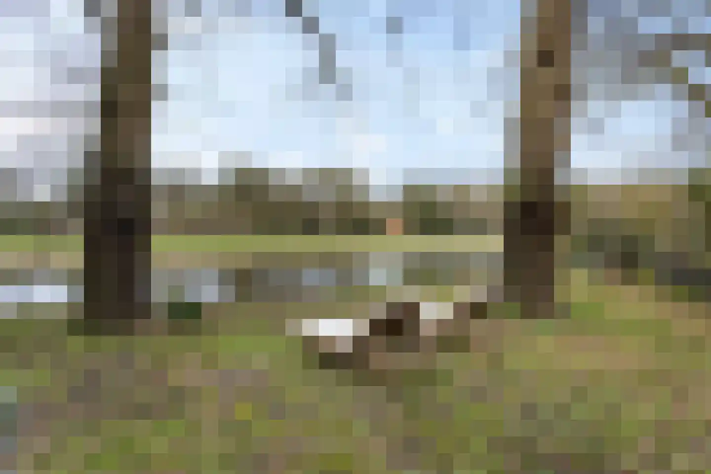 Oostendorperweg 59 Z Haaksbergen thumbnail 28