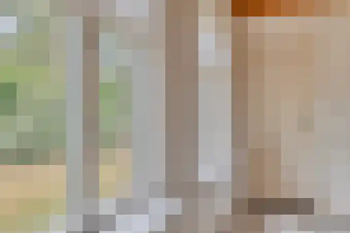 Oostendorperweg 65 Z Haaksbergen thumbnail 12