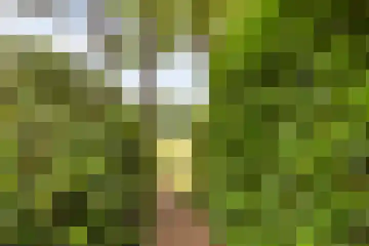 Oostendorperweg 65 Z Haaksbergen thumbnail 25
