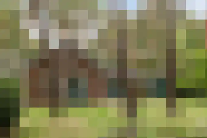Oostendorperweg 65 Z Haaksbergen thumbnail 26