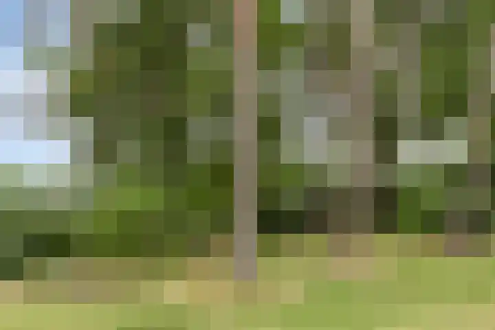 Oostendorperweg 65 Z Haaksbergen thumbnail 27