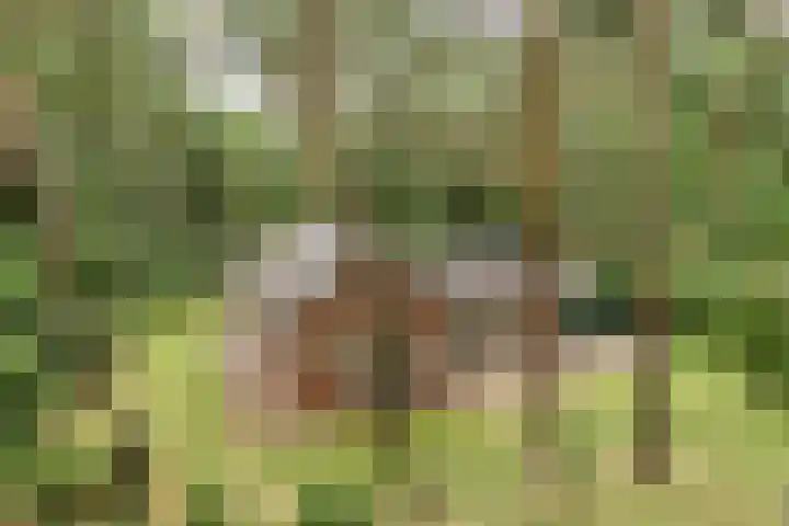 Oostendorperweg 65 Z Haaksbergen thumbnail 29