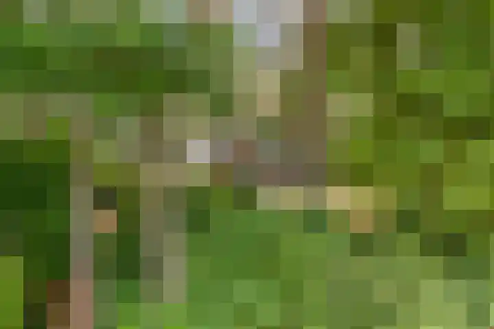 Oostendorperweg 65 Z Haaksbergen thumbnail 32