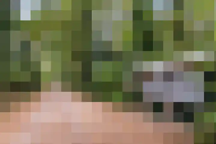Oostendorperweg 65 Z Haaksbergen thumbnail 33