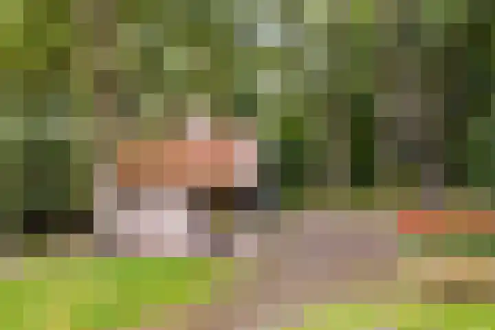Oostendorperweg 65 Z Haaksbergen thumbnail 35