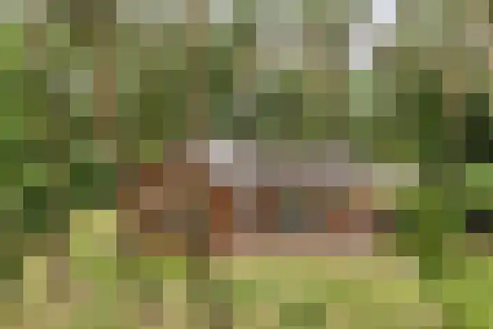 Oostendorperweg 65 Z Haaksbergen thumbnail 4