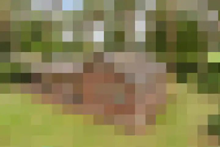 Oostendorperweg 65 Z Haaksbergen thumbnail 5