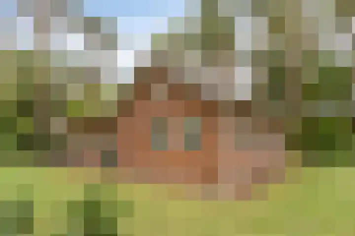 Oostendorperweg 65 Z Haaksbergen thumbnail 8
