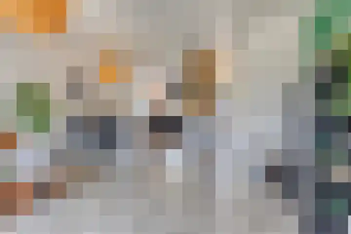 Oostene 14 Steenbergen thumbnail 10