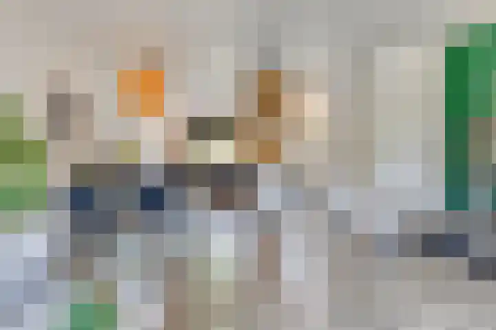 Oostene 14 Steenbergen thumbnail 11