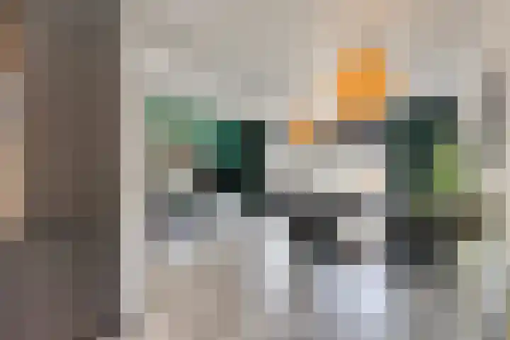 Oostene 14 Steenbergen thumbnail 17