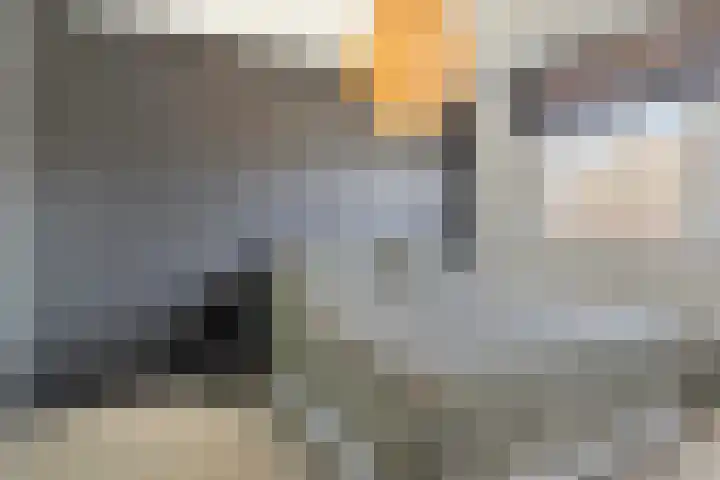 Oostene 14 Steenbergen thumbnail 20