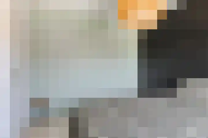 Oostene 14 Steenbergen thumbnail 21