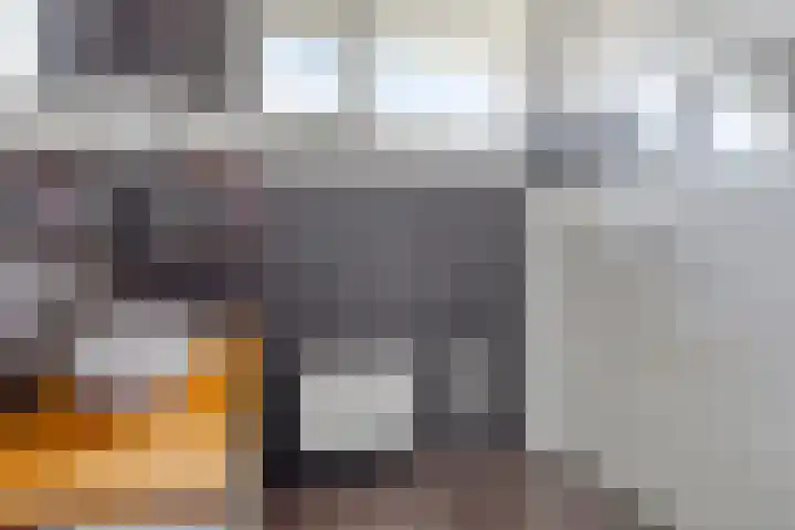 Oostene 14 Steenbergen thumbnail 22