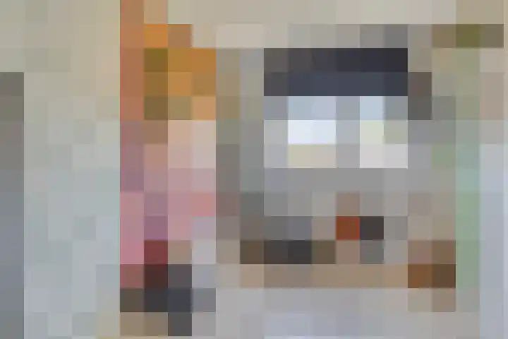Oostene 14 Steenbergen thumbnail 24