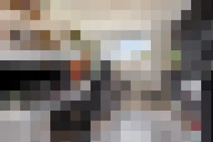 Oostene 14 Steenbergen thumbnail 26