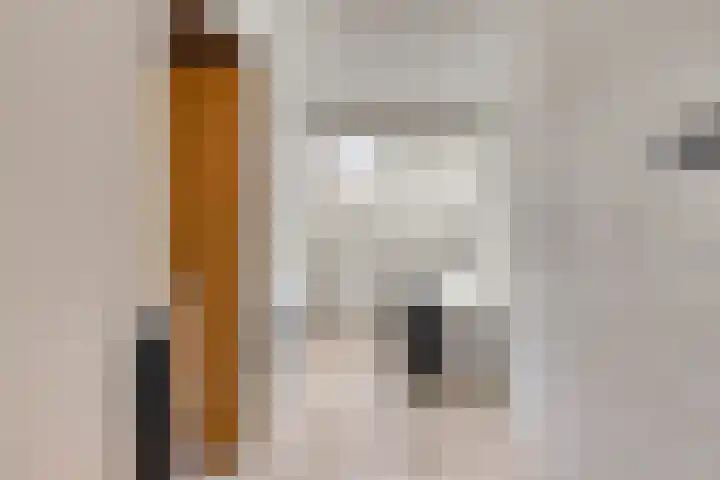 Oostene 14 Steenbergen thumbnail 28