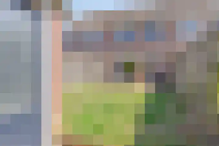 Oostene 14 Steenbergen thumbnail 32