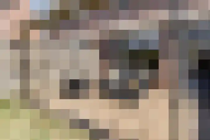 Oostene 14 Steenbergen thumbnail 34