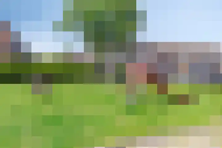 Oostene 14 Steenbergen thumbnail 35